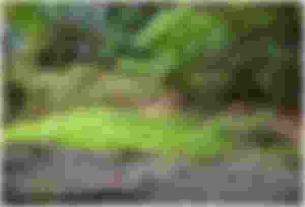 image alt text